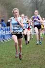 Girls under-15s Inter Counties Cross Country, Prestwold Hall, Loughborough. Photo: David T. Hewitson/Sports for All Pics